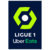 Ligue 1 (Frankreich)